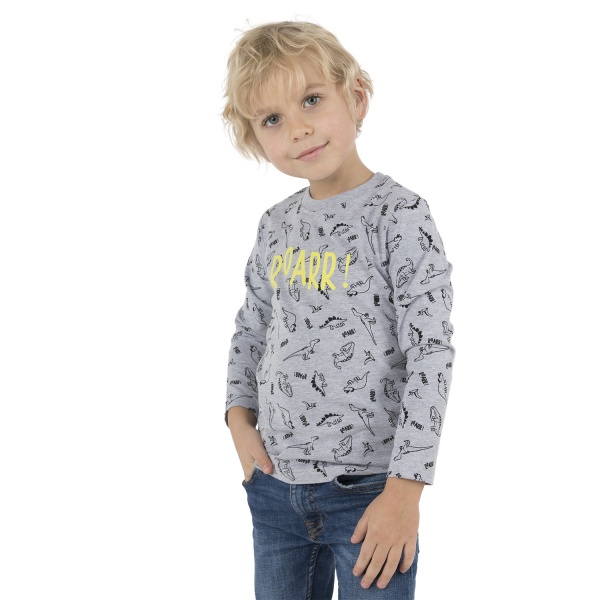 Джемпер для мальчика Funtime р.122 серый с принтом 