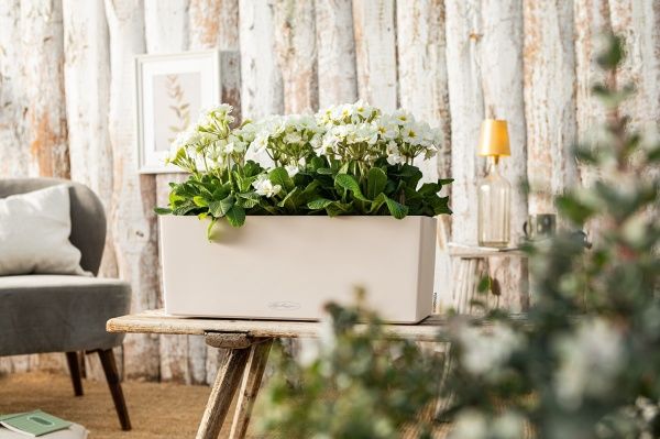 Кашпо Lechuza Balconera Color 50 прямоугольный 8л ваниль 