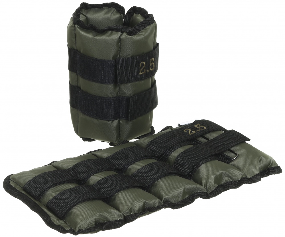 Утяжелители GF Champion 2x2,5 кг