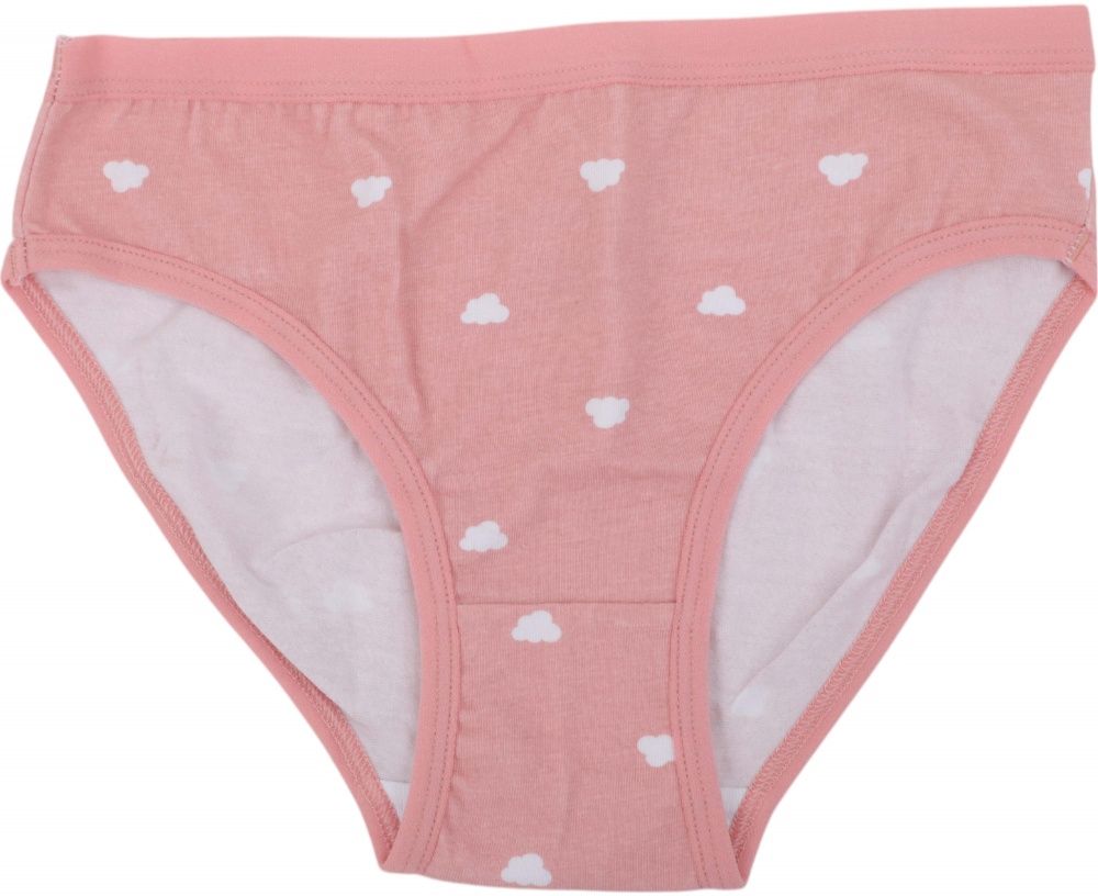 Набор трусов для девочек HW 3 пары р.122-128 розовый с голубым E3-F3