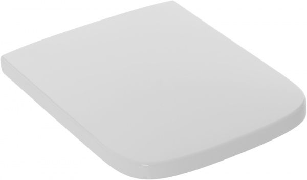 Сиденье для унитаза ROCA Dama-N 801782004 soft-close