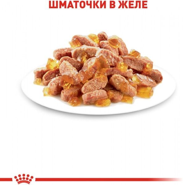 Корм Royal Canin Kitten Instinctive в желе 85 г