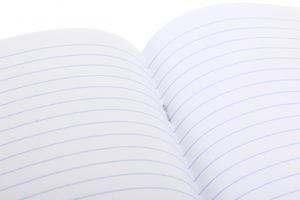 Тетрадь школьная Capybara24 12 листов скоба линия Nota Bene