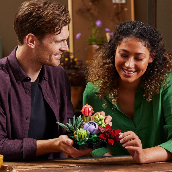 Конструктор LEGO Ideas суккуленты 10309