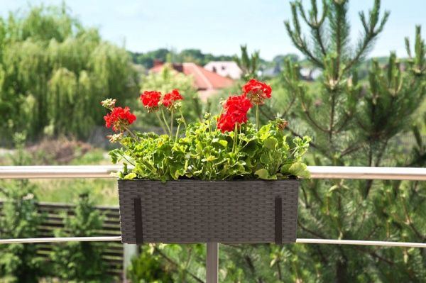 Горщик для квітів Lamela Бегонія ротанг прямокутний 37,7л графіт 