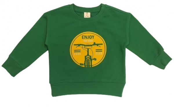 Джемпер для мальчика Роза р.104 зеленый 210578 