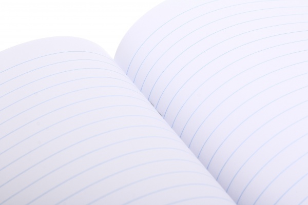 Тетрадь школьная уф-лак 30 листов в линейку в ассортименте