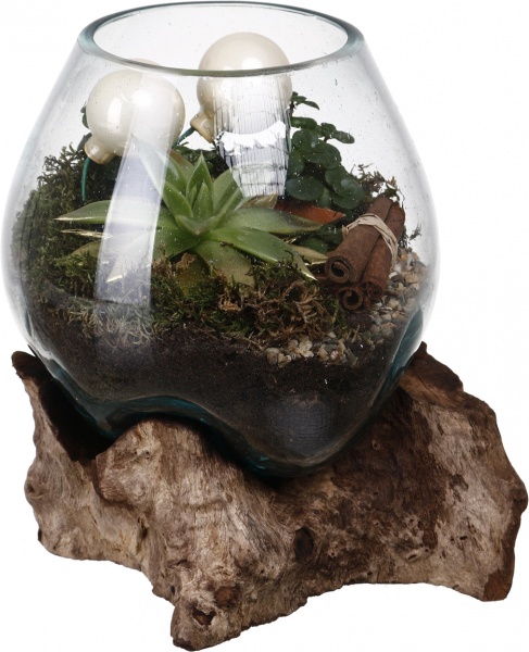 Рослина кімнатна Композиція золота колекція сукуленти з кулями у плавленій вазі в дереві 20х25 см