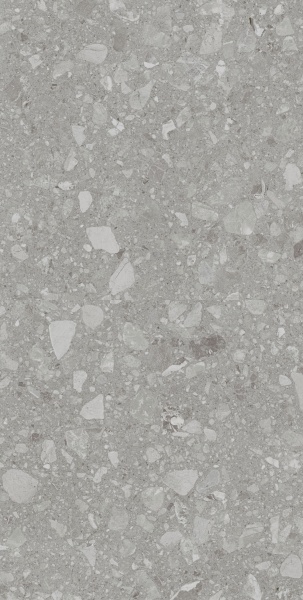 Плитка Allore Group Terra Grey F P R Mat (51,84) 60x120x8 