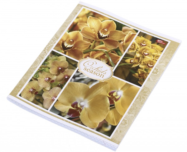 Тетрадь школьная 96 листов в клеточку в ассортименте Мечты сбываются