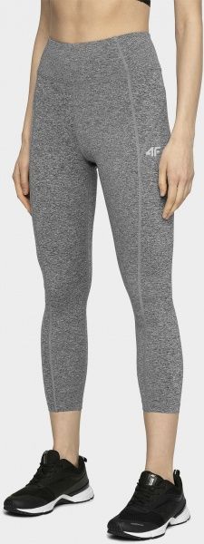 Брюки 4F NOSD4-SPDF302-24M р. M серый