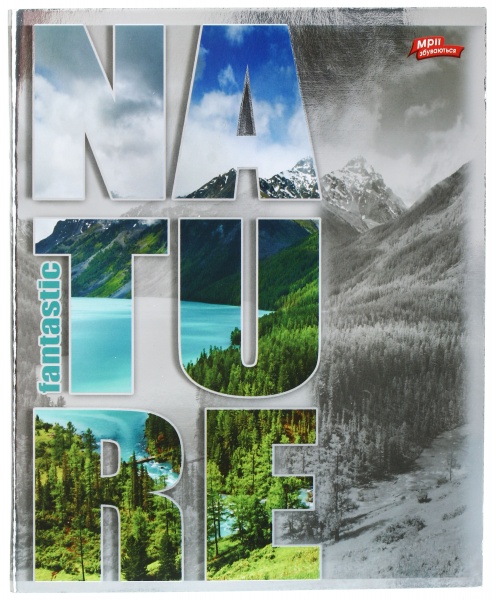 Зошит шкільний срібло 96 аркушів у клітинку в асортименті Мрії збуваються