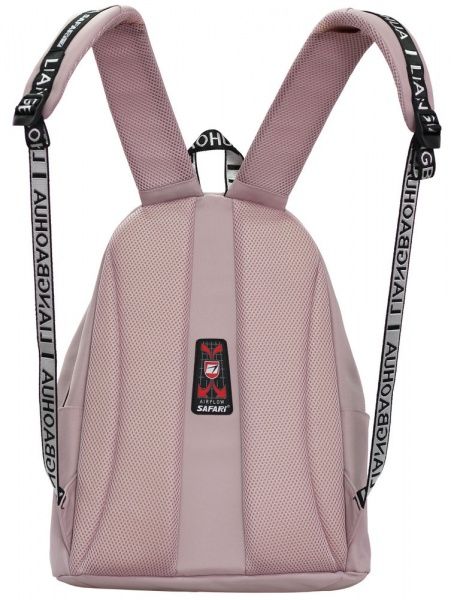 Ранец школьный Safari 2 отделения 21-196L-2