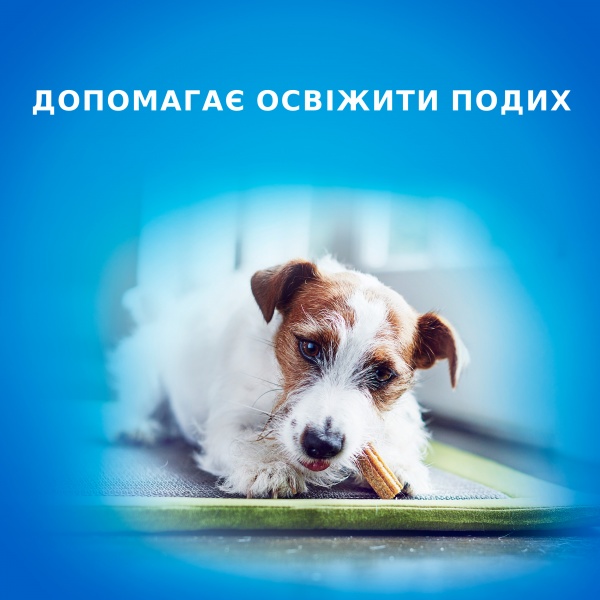 Лакомство Purina DentaLife Small для собак малых пород 115 г