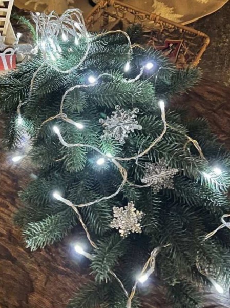 Гирлянда Blachere CARA100D холодная белая светодиодная (LED) 100 ламп 10 м 