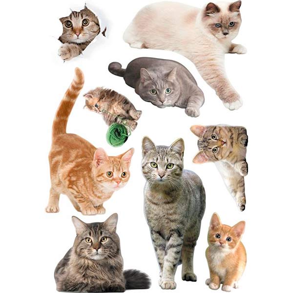 Декоративна наліпка Котик