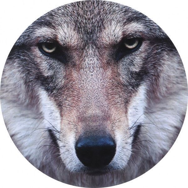 Наліпка TERRAPLUS 