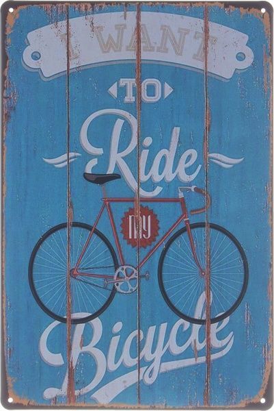Табличка жестяная печатная Want to ride 30x20 см разноцветный 