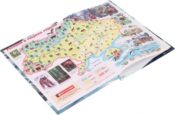 Дневник школьный Anime 4 Nota Bene