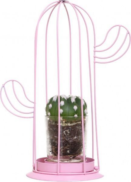 Рослина Кактус у склі в металевому декорі 10/21