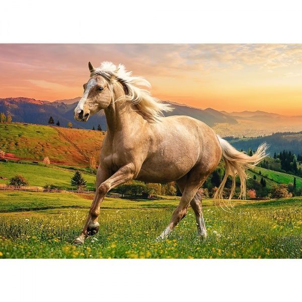Пазлы Trefl Дневной галоп на солнышке 500 элементов 6337086
