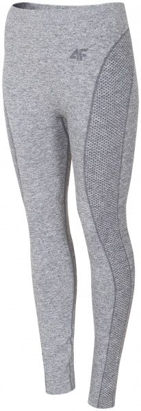 Термобрюки 4F H4Z19-BIDB004D-26M L/XL серый
