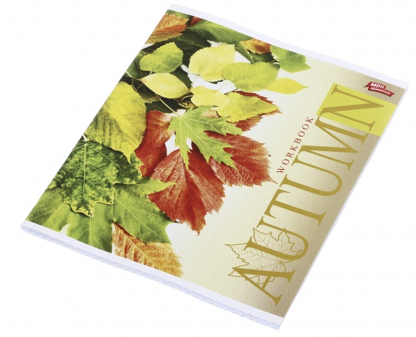 Зошит шкільний 60 аркушів у клітинку в асортименті Мрії збуваються