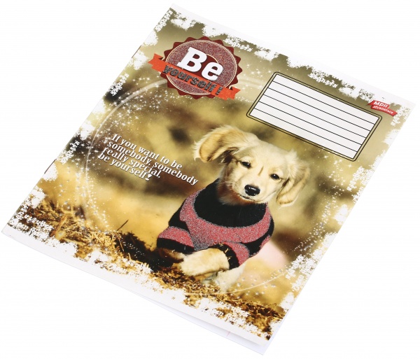 Зошит шкільний з глітером 12 аркушів у лінійку в асортименті Мрії збуваються