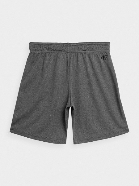 Шорти 4F 4FJSS23TFSHM153-23M р. 134-140 сірий