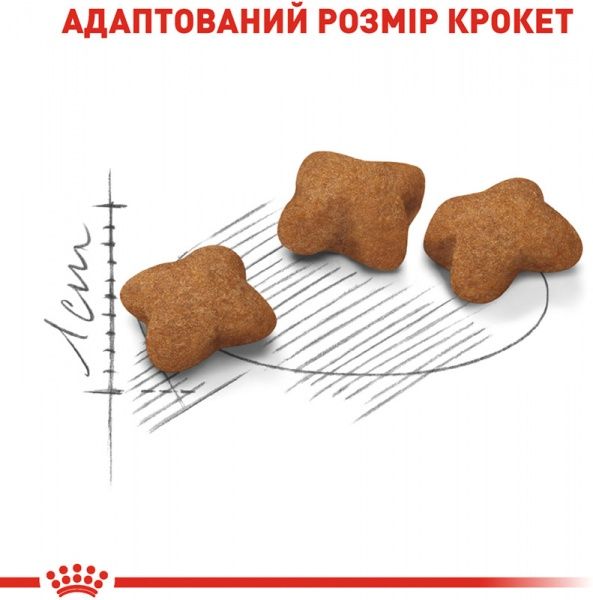 Корм Royal Canin Kitten Sterilised 2 кг