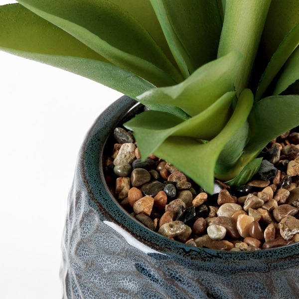 Растение декоративное DH-FLOWERS-13 GREEN/BLACK MVM