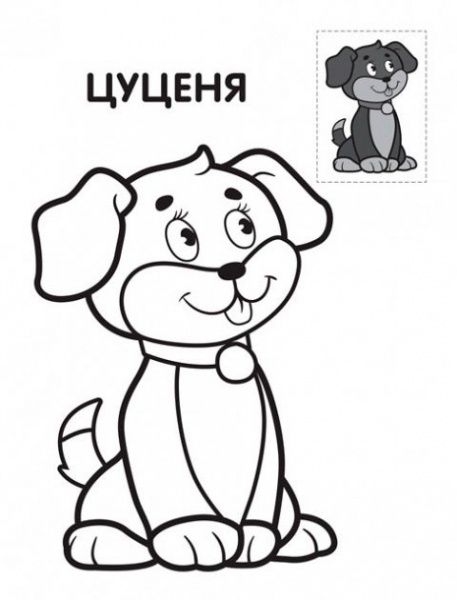 Книга Евгений Павлович «Серія Наклей та розфарбуй . Іжачок.» 978-966-440-304-4