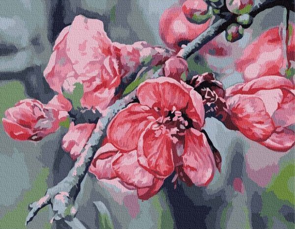 Картина за номерами Розквітла ніжність bk_1075 BookOpt 