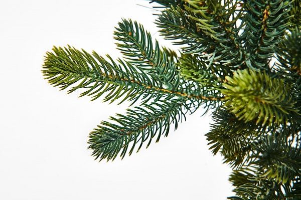 Вінок Лакіпак Яскравий d400 мм 