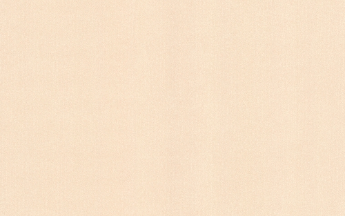 Шпалери вінілові на флізеліновій основі Bravo 81120BR14 1,06x10,05 м 