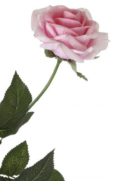 Рослина штучна Троянда 64 см рожева Девілон