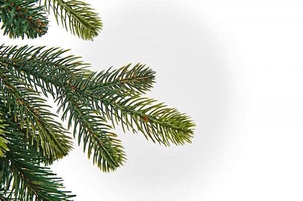 Декоративна гірлянда Яскрава 1,8 м 