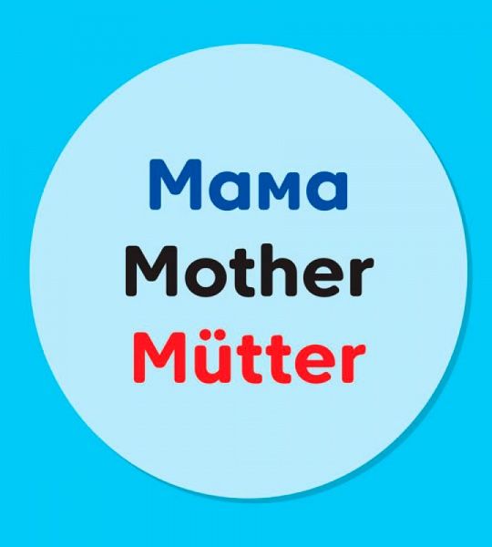 Книга «Словарик в картинках: Моя семья» 978-966-7491-27-7