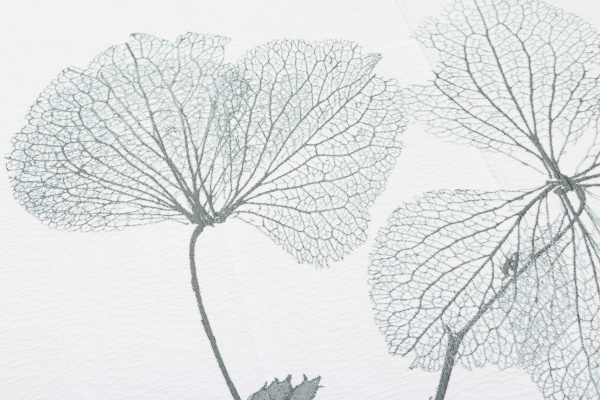 Покрывало Aquiles C4 235x270 см Textilia 