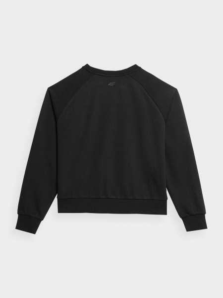 Світшот 4F SWEATSHIRT F341 4FAW22TSWSF341-20S р. XL чорний