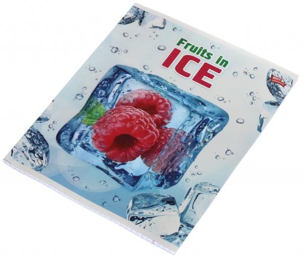 Тетрадь школьная серебро 4 листов в клеточку в ассортименте Мечты сбываются