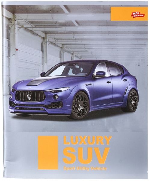 Зошит шкільний срібло 96 аркушів у клітинку в асортименті Мрії збуваються