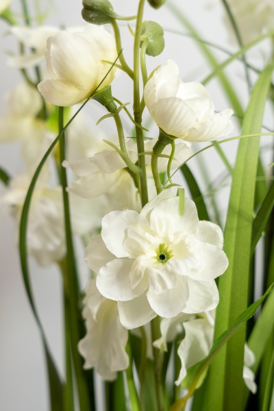 Растение декоративное Окопник белый в горшке 75 см Девилон