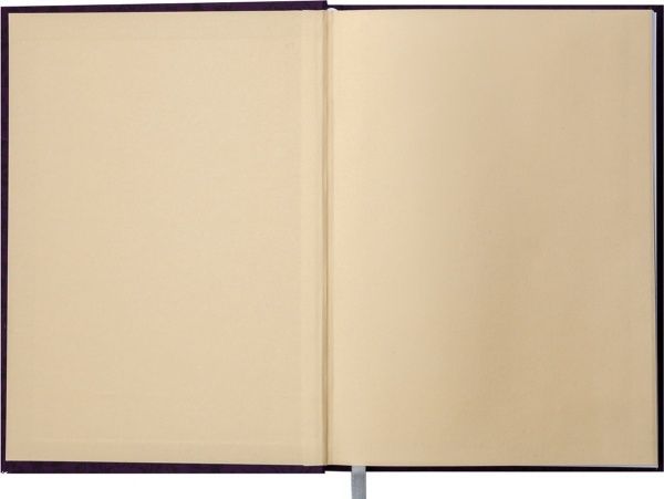 Щоденник недатований Diamante А5 Малиновий 288 стр. Buromax 