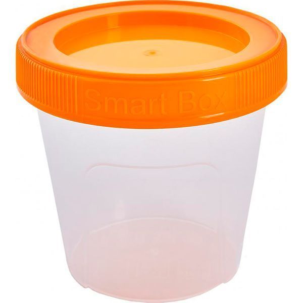 Контейнер пластиковий Алеана 124084 «Smart Box» 0,35 л світло-помаранчевий