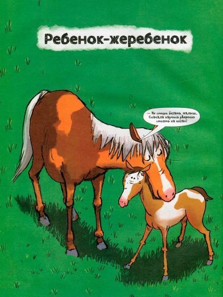 Книга «Книга Коні.Про що говорять тварини.»