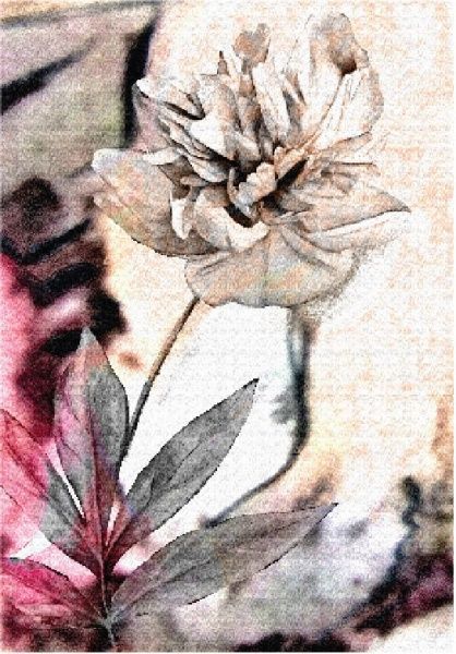 Постер Пион 1 (коллекция) Posterclub 