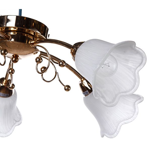 Люстра Accento Lighting Verona ALHu-HKC31238/5