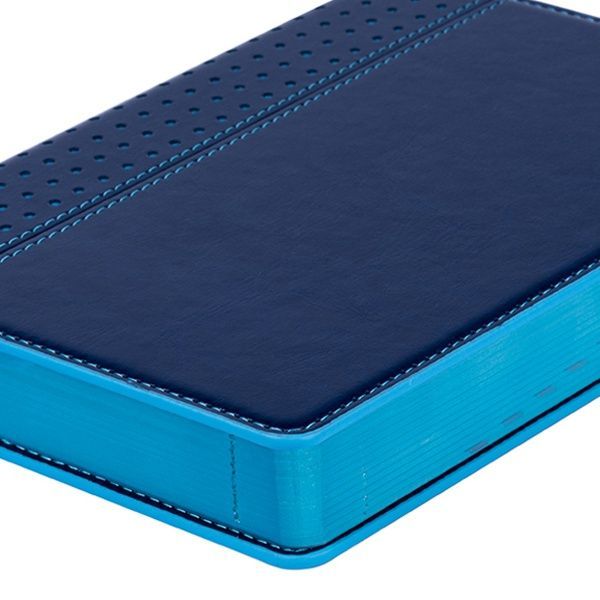 Ежедневник А5 Destiny 2021 cиний Leo Planner