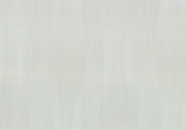 Шпалери вінілові на флізеліновій основі Vinil Шлейф ДХН-1423/1 1,06x10,05 м 